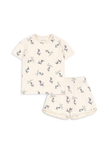 BASIC SET