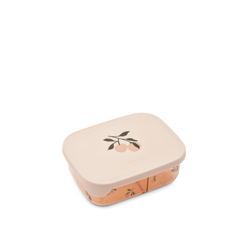 ARTHUR TRITAN LUNCH BOX