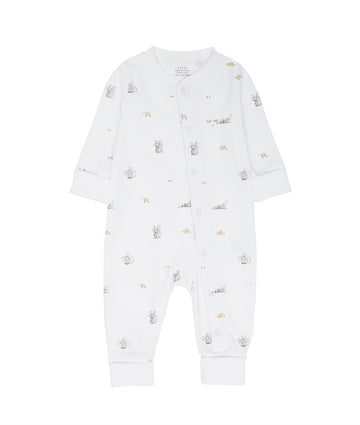 MICE OVERALL