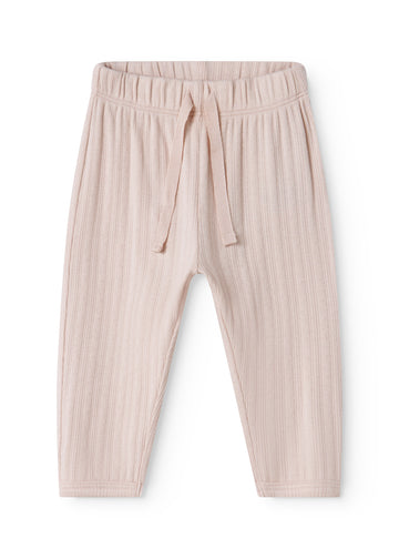 PITTI MODAL POINTELLE