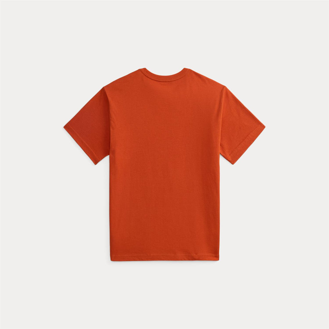 T-SHIRT BEAR